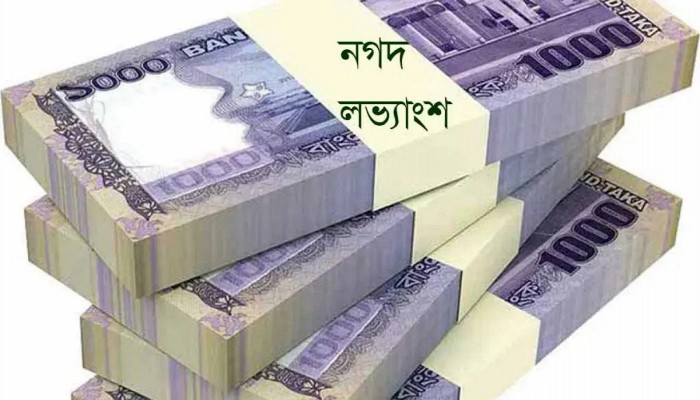 নগদ লভ্যাংশ হাতে পেল দুই কোম্পানির বিনিয়োগকারীরা নগদ লভ্যাংশ হাতে পেল দুই কোম্পানির বিনিয়োগকারীরা